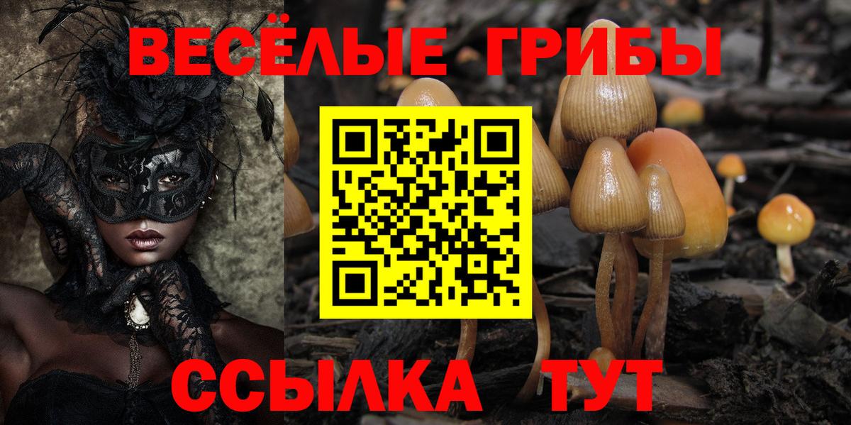 Псилоцибиновые грибы Psilocybe  Вход с VPN  Отрадное 
